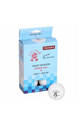 Avessa Silver 40+ Pinpon Topu 6'lı